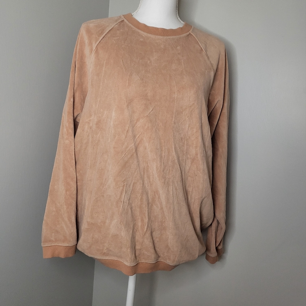 Aerie Velour Crew Neck Sweatshirt Beige XS